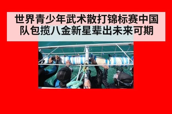 世界青少年武术散打锦标赛中国队包揽八金新星辈出未来可期